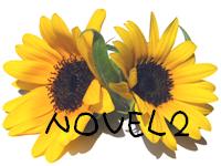 http://sawara.doumeki.com/home/sunflower_02_2.jpg